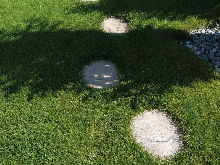 Albera_3.jpg