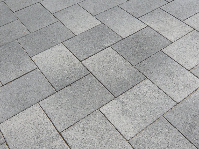 Tragurium-3.jpg 