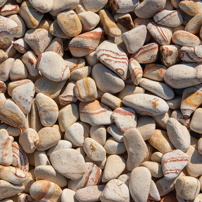 PEBBLES-POLITIKO-_2_.jpg
