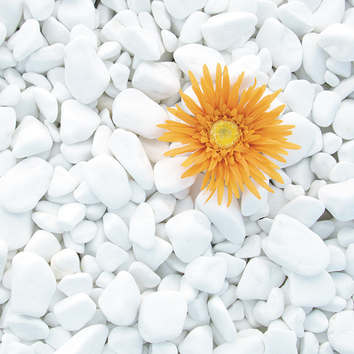 pebbles_thasos-_2_.jpg